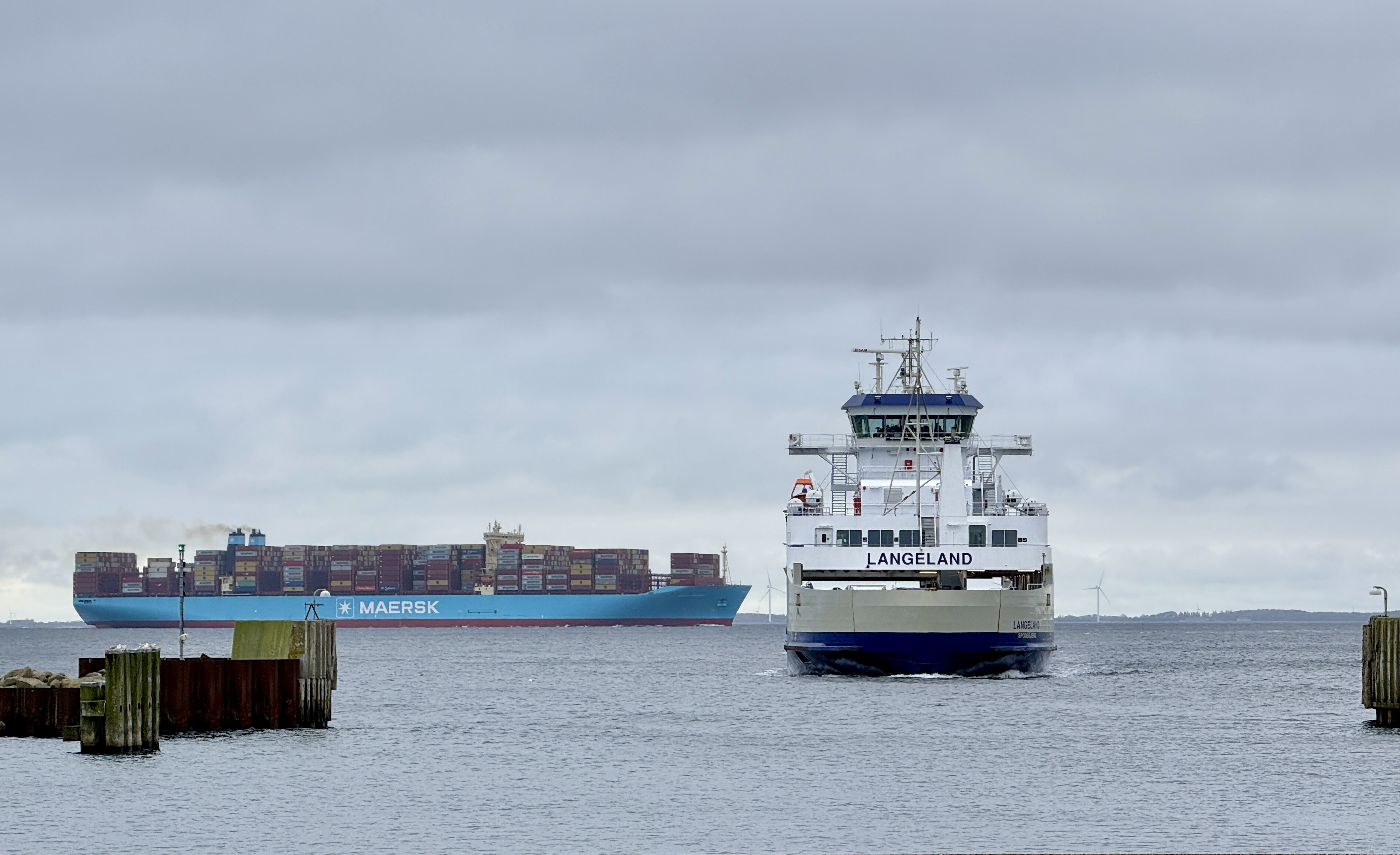 Så er de heller ikke større.JPG